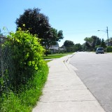 Canada Day 2010